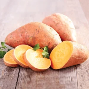 Orange Sweet Potato Cuttings - Pack of 10 Well Rooted Starter Plants