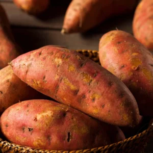 Orange Sweet Potato Cuttings - Pack of 10 Well Rooted Starter Plants